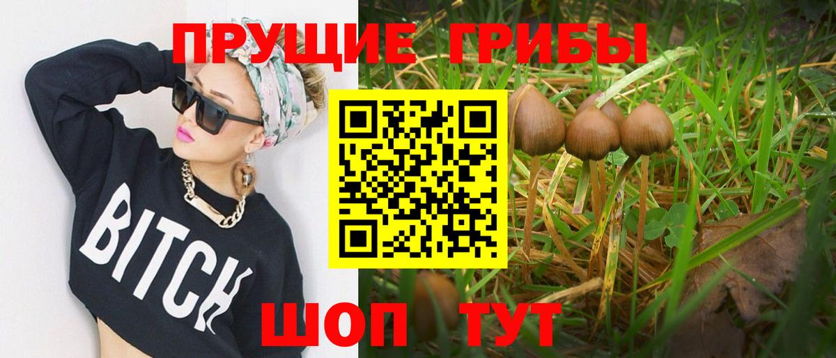 Галлюциногенные грибы ЛСД Зерноград