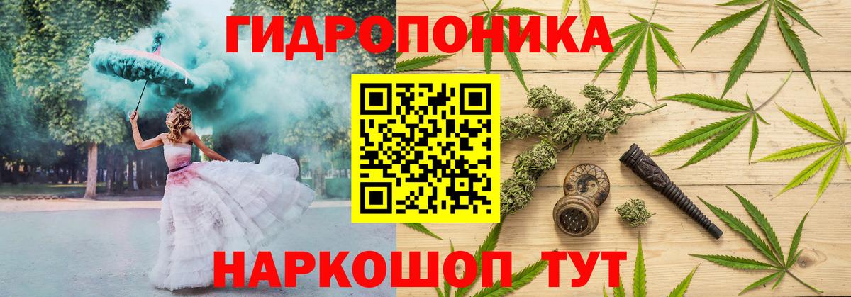 Конопля марихуана Зерноград